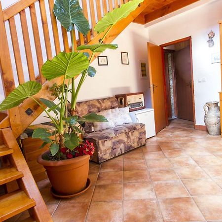 Holiday Home Juricko With Private Sauna Bizeljsko Dış mekan fotoğraf