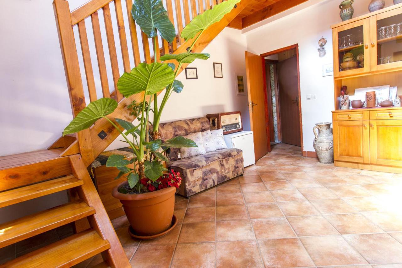 Holiday Home Juricko With Private Sauna Bizeljsko Dış mekan fotoğraf