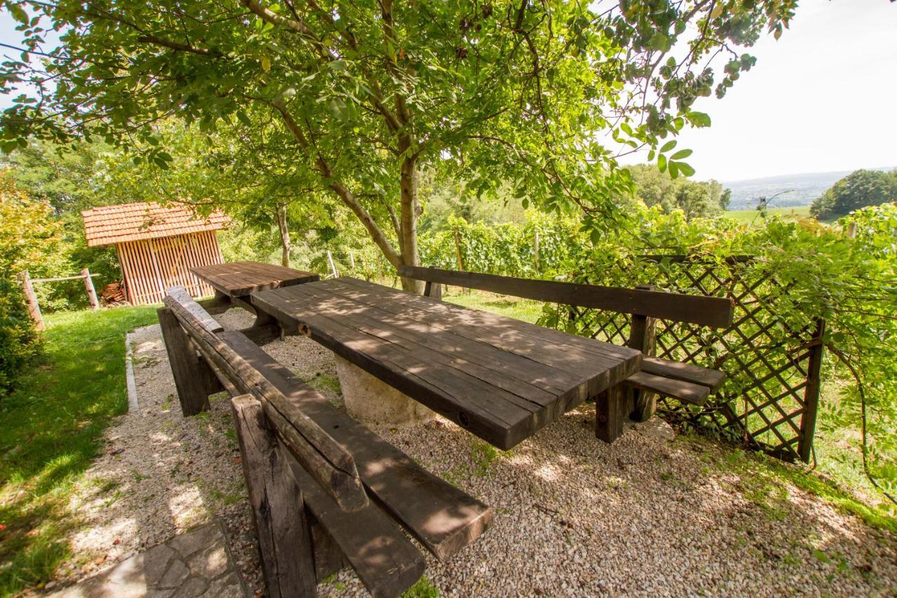 Holiday Home Juricko With Private Sauna Bizeljsko Dış mekan fotoğraf